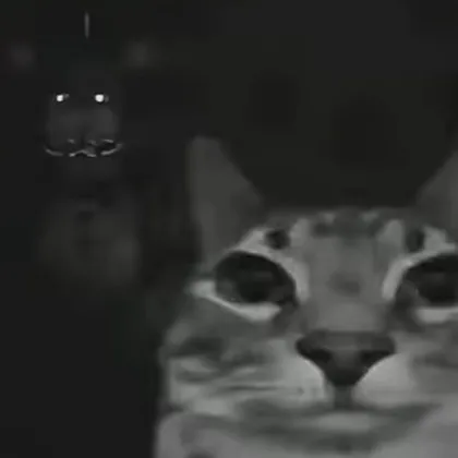 creator JESÚS:TALKIO's avatar