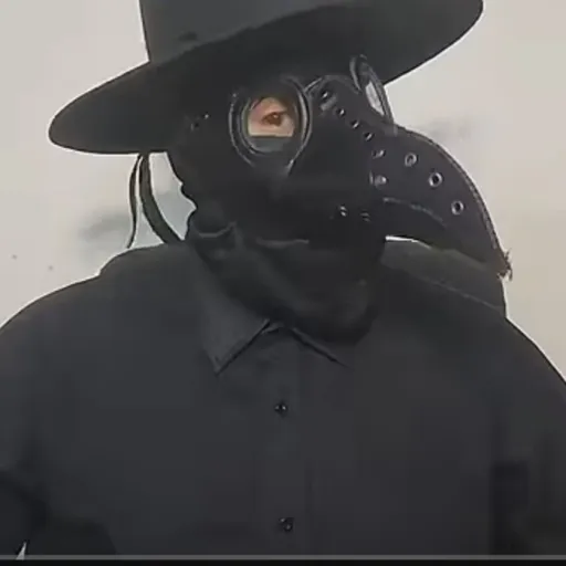 creator Federica 4's avatar