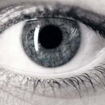 creator The_Eyes's avatar