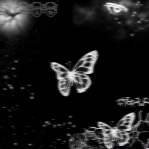 creator black butterfly 🖤's avatar