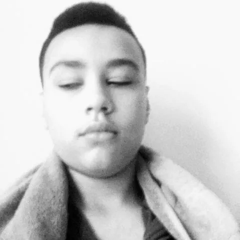 creator the wise owl 🇵🇷🐸🌊's avatar