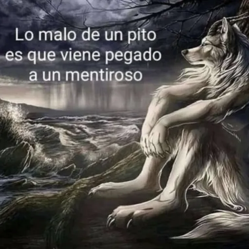 creator Espantaabuelos8000's avatar