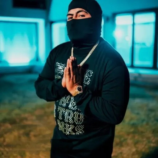creator PRANKEDY DE "TEMU"'s avatar