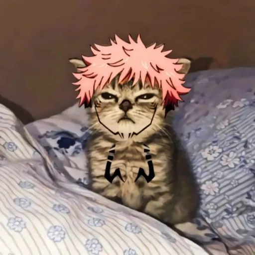 creator cat suku's avatar