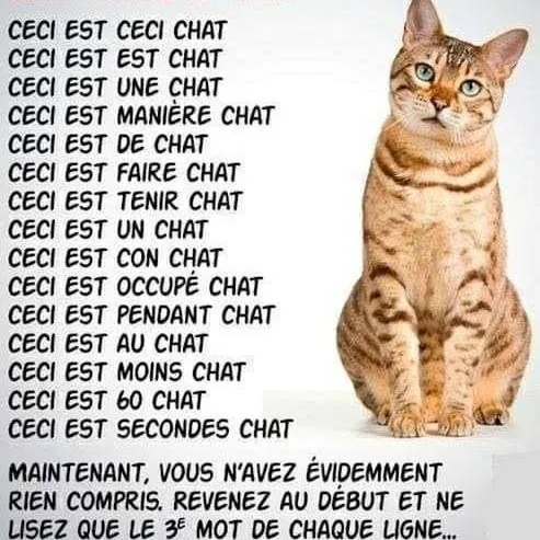 creator Stella Chat's avatar