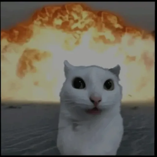 creator Hålfmøöñ_ÒwÓ's avatar