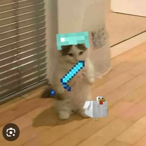 creator bauty_preen's avatar