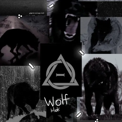 creator ☁️🐾~•Ÿũkïø•~🐾☁️'s avatar
