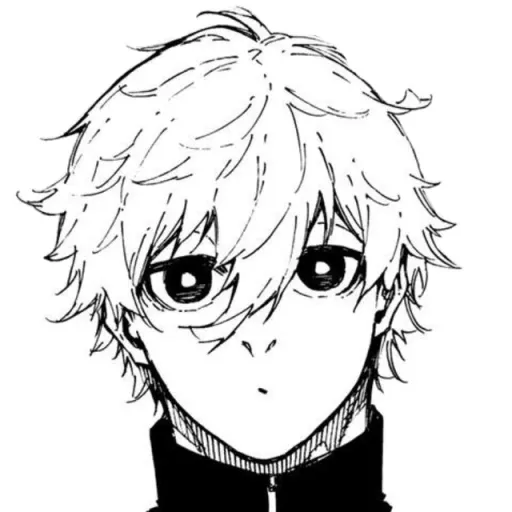 creator ★Nagi≈Seishiro★'s avatar