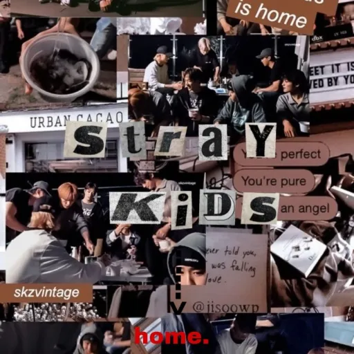 creator Skz r my idolsâ
â¥ïž's avatar