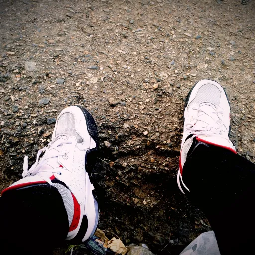 creator Roy.P's avatar