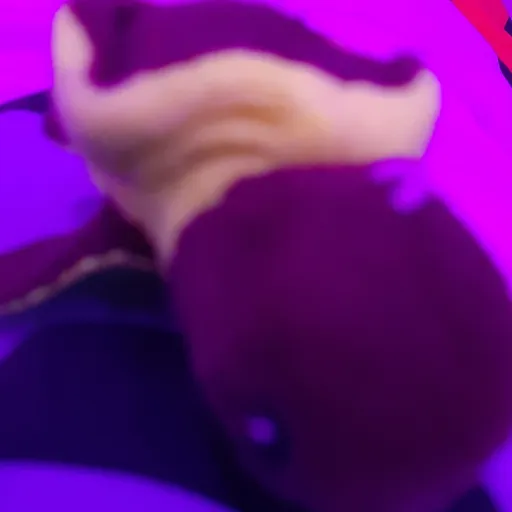 creator turtle TURTLE(ツ)'s avatar