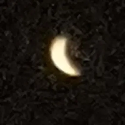 creator 🥒lune. 🌙🌞's avatar