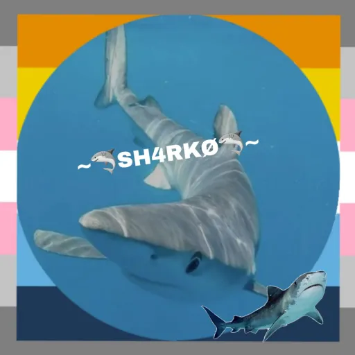 creator 🦈🌊—SH4RKØ—🌊🦈's avatar