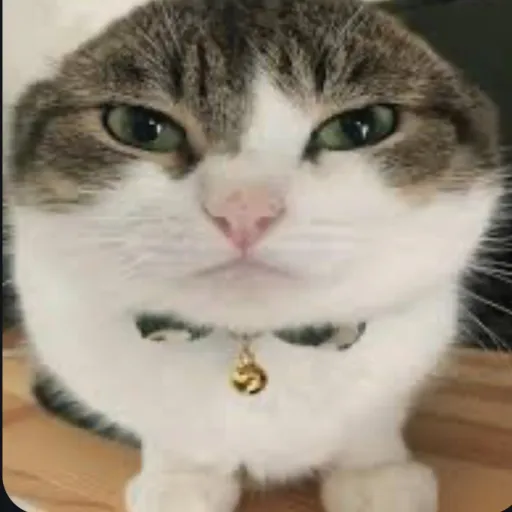 creator [REDACTED]W4w4C4t's avatar