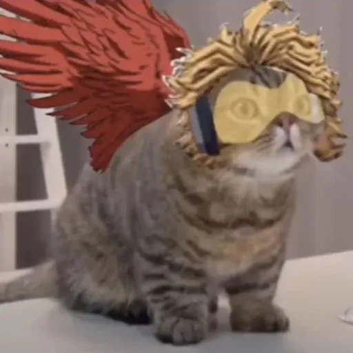 creator 😺~Hawks Kitty~💖's avatar