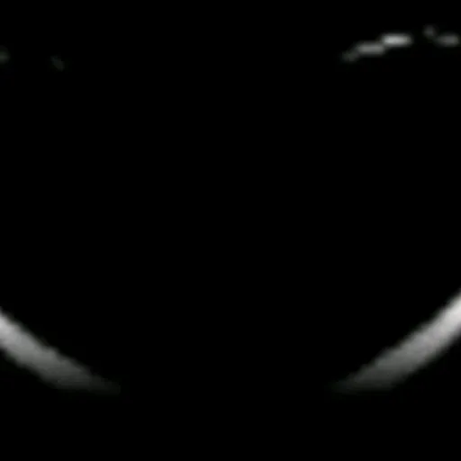 creator Lazy/assasin's avatar