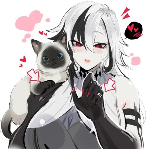 creator no se que nombre 3's avatar