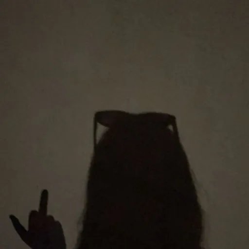 creator β
Melissaα°βΊοΈ's avatar