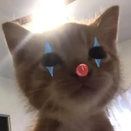 creator alan,vvs's avatar