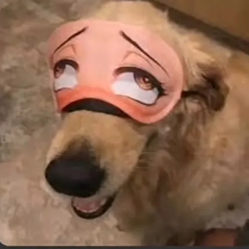 creator Tu mondá's avatar