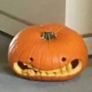 creator mr man1234's avatar