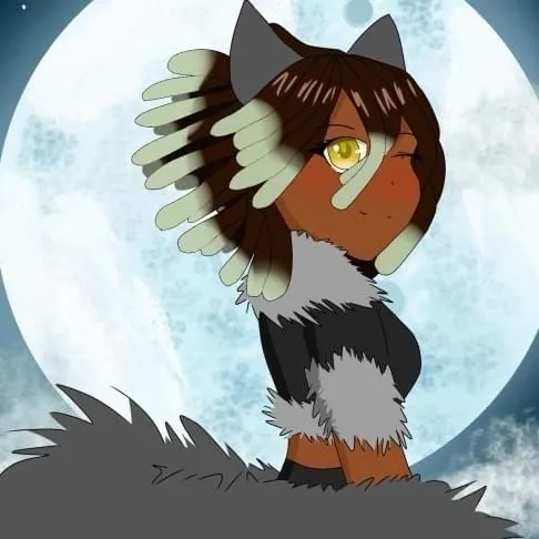 talkie's author avatar