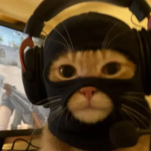 creator ♪•your_meowmeow•♪'s avatar