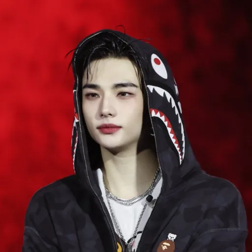 creator Hyunjin ❤️🦦's avatar