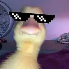 creator soy_kiwi's avatar