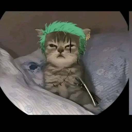 creator maximo (sin ximo)'s avatar