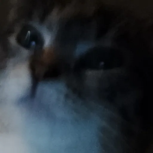 creator ethothecat's avatar