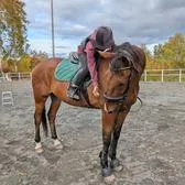 creator Equestrian_girl🩷🐴🍏's avatar