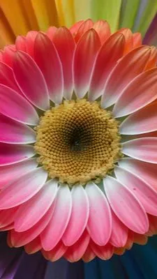 ai character: DW kid au (remake) background