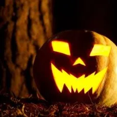 chat with ai character: DW D3: Halloween