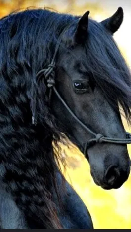 ai character: Horse background
