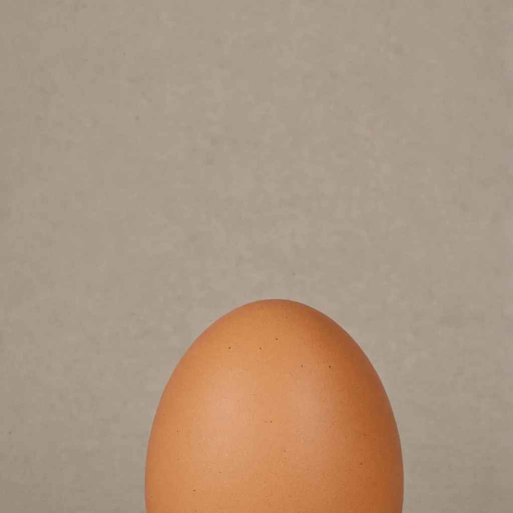 chat with ai character: Egg