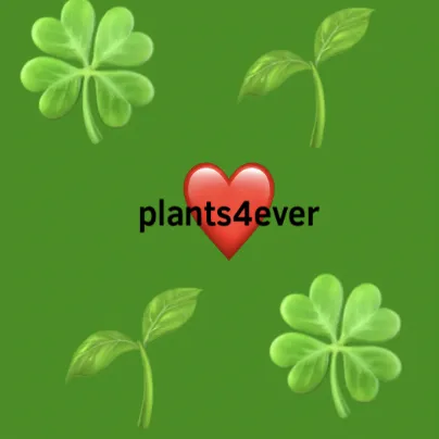 creator 🍀🌲Lilz🌲🌿's avatar