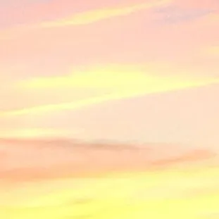 chat with ai character: Homework Helper