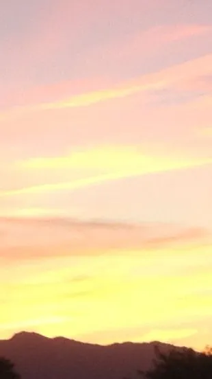 ai character: Homework Helper background