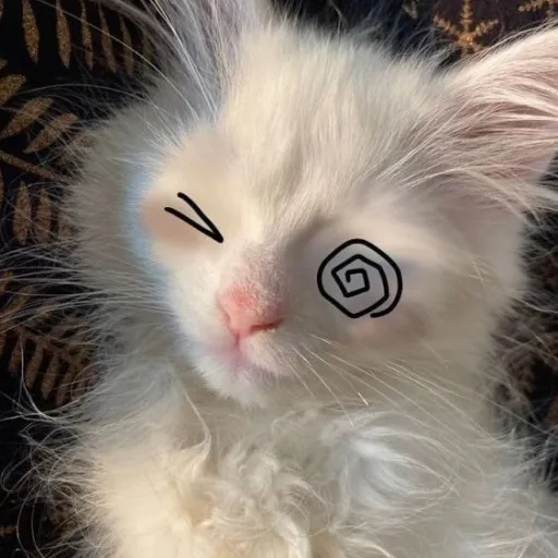 creator ~°☆Alison☆°~'s avatar