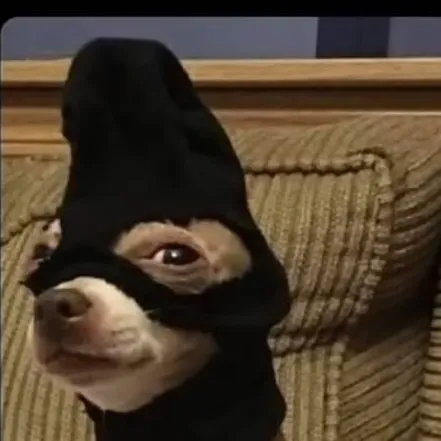 creator perro del barrio's avatar