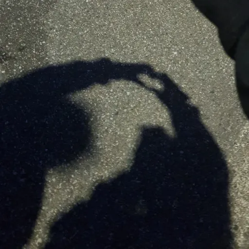 creator love my bff so ita's avatar