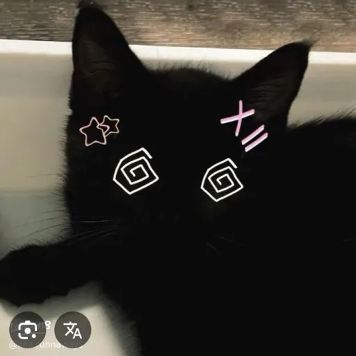 creator ༒✞❦𝐀𝐬𝐞𝐥_𝓜𝓮𝓸𝔀❦✞༒'s avatar