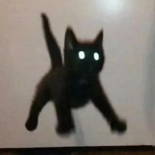 creator A 𝓫𝓵𝓪𝓬𝓴 cat👾😼🖤's avatar