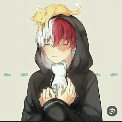 creator 💙Shoto❤Todoroki🔥's avatar