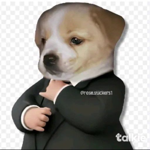 creator pitøcortø's avatar