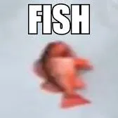 creator F I S H2's avatar