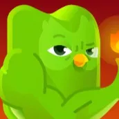 creator random bird kiddo's avatar