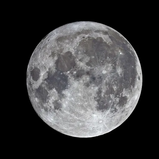creator Girlinth3moon's avatar
